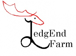 ledgend logo